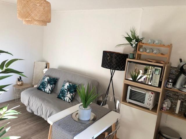 Апартаменты Studio Cosy Carnon-Plage - Clim Et Wifi Proche Montpellier Могио Экстерьер фото